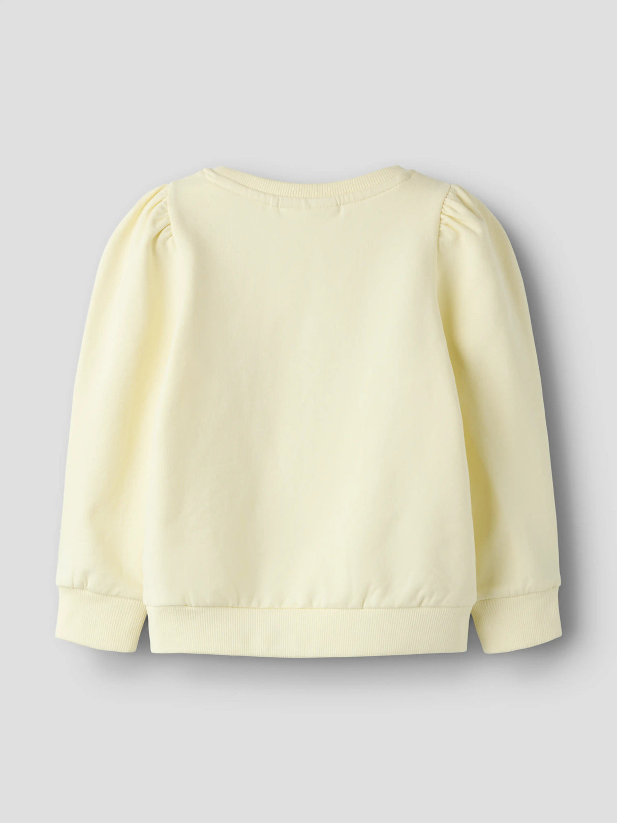 Pear Sorbet Sweatshirt fra Name it - 13261714