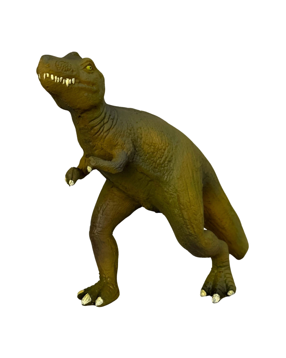 Tyrannosaurus Rex Dinosaur in Natural Rubber