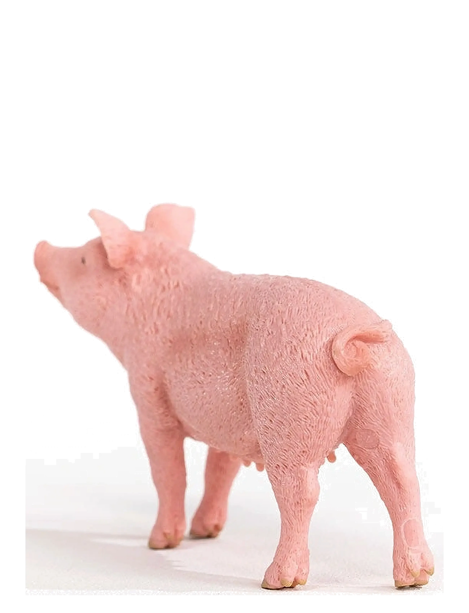 Schleich Farm World Pig 10cm - 13782