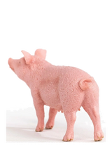 Schleich Farm World Pig 10cm - 13782