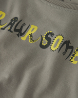 Name it Shadow Rawrsome T-Shirt - 13224978