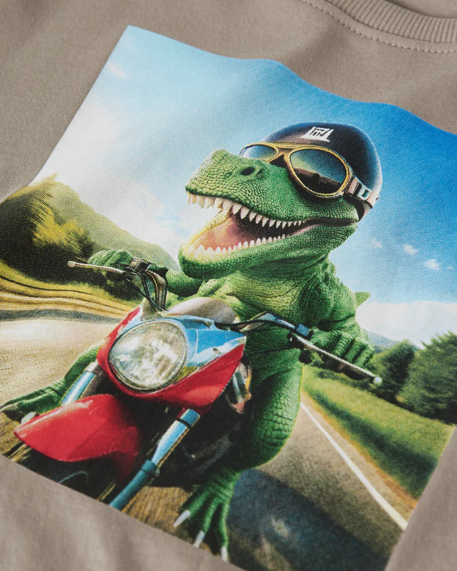 Name it Vintage Khaki Dino Motorcycle T-Shirt - 13238400