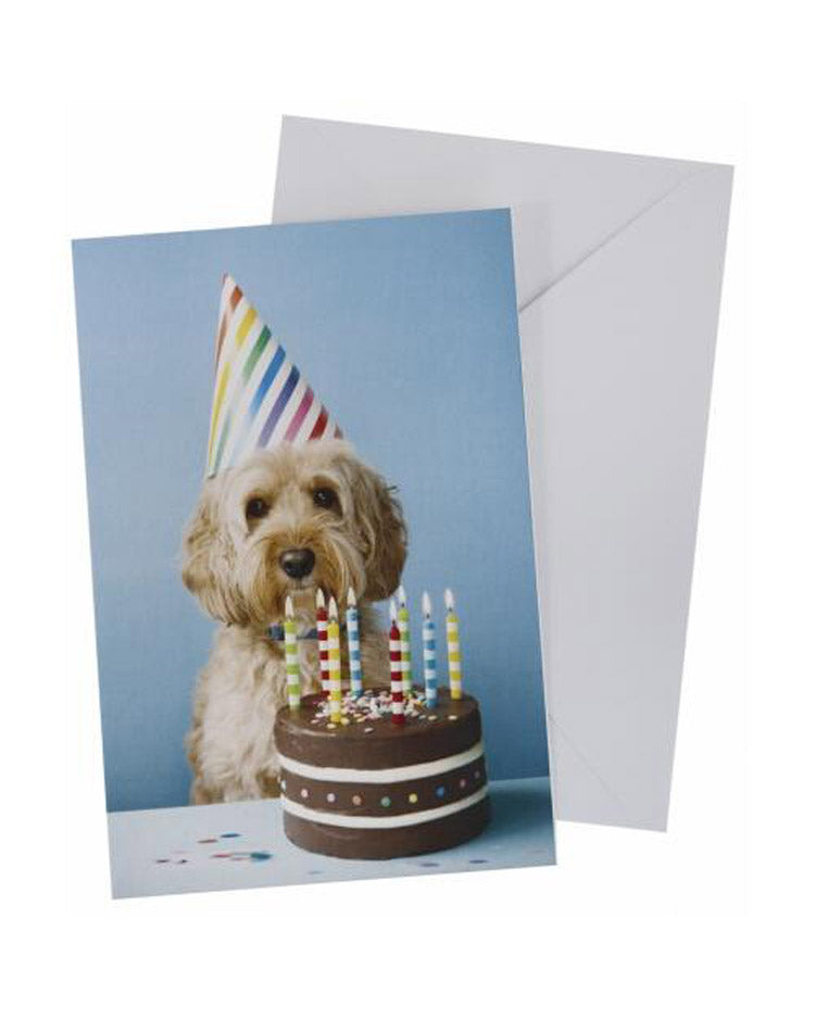 Card with envelope dog and layer cake