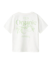 Hvid - Cloud Dancer - Name it - T-shirt - 13238918