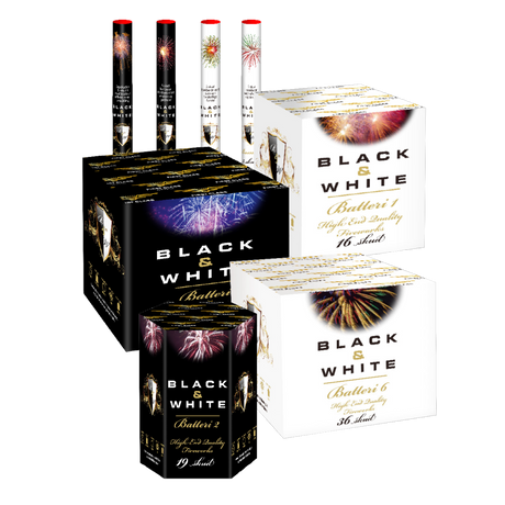 (No.13) Superior party assortment