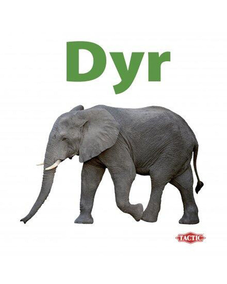 My First Animal Pointing Book