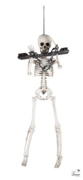 Skelet 40cm