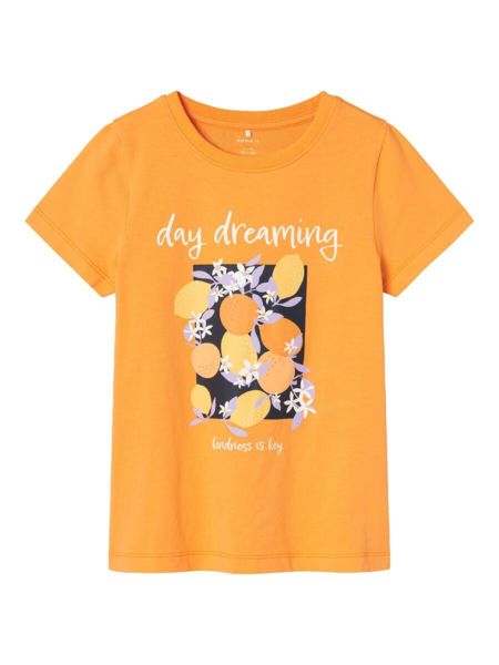 Orange - Bird of Paradise - Name it - Tshirt - "Day dreaming" - 13226135