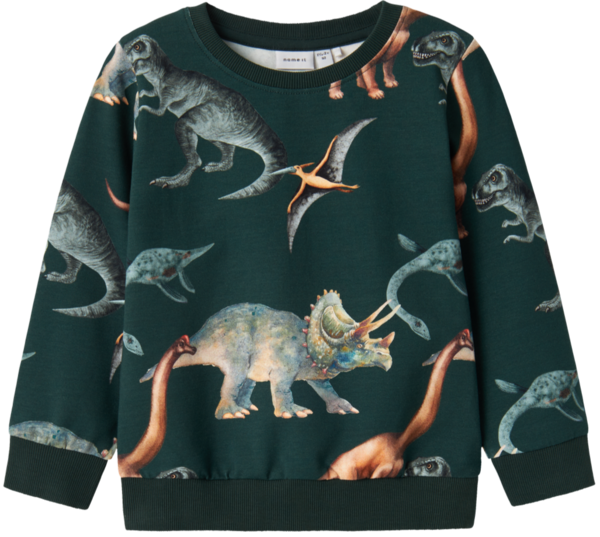 Mørkegrøn - Pine grove - Name it - sweatshirt - dino - 13231927