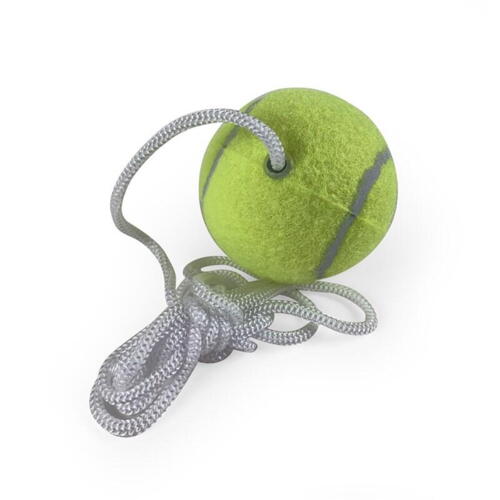 Tennisbold til stangtennis