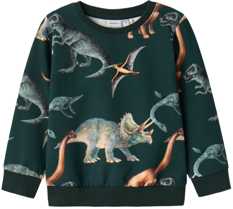 Mørkegrøn - Pine grove - Name it - sweatshirt - dino - 13231927