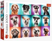 Puslespil 2000 brikker - Funny Dog Portraits