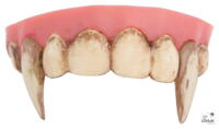 Vampire dirty teeth dentures with putty
