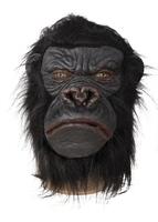 Gorilla maske latex - voksen